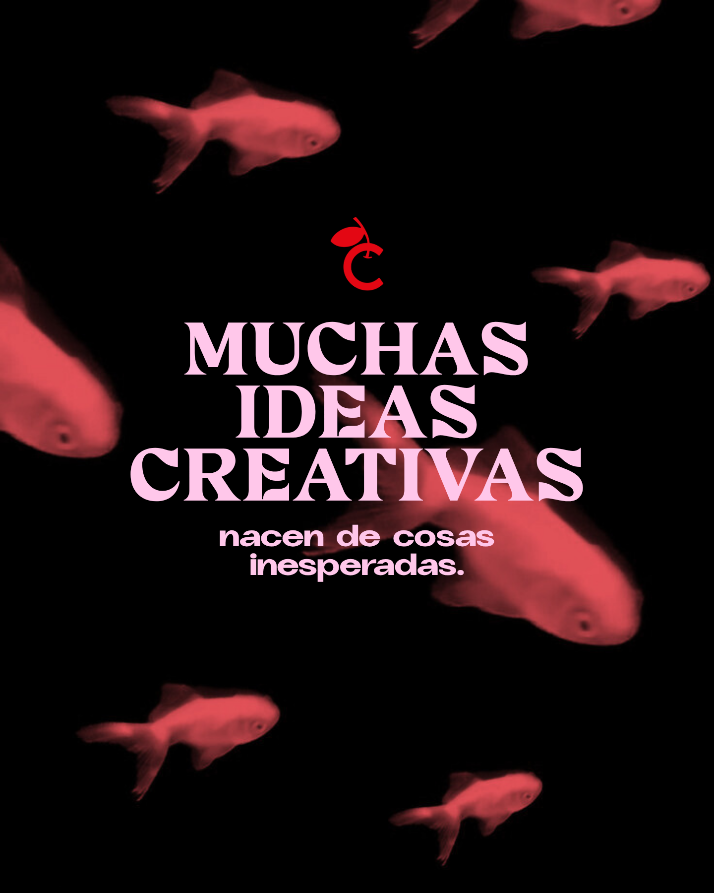 Branding Studio Cereza